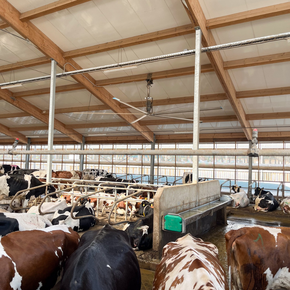 Ventilators Big Air PÜRe